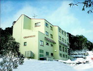 Cedarwood Apartments - Accommodation Australia 0