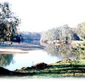 Corowa Golf Club Motel - Local Tourism