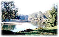Corowa Golf Club Motel - Accommodation Australia 0
