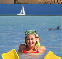 Monkey Mia Dolphin Resort - Local Tourism