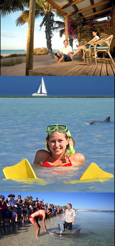Monkey Mia Dolphin Resort - Accommodation Australia 0