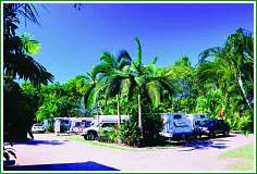 Tropical Hibiscus Caravan Park - Accommodation Australia 0