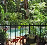 Daintree Rainforest Retreat Motel - Local Tourism