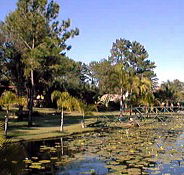 Twin Lakes Hotel - Accommodation Australia