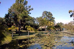 Twin Lakes Hotel - Accommodation Australia 0