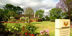 Houghton Winery - Accommodation Australia 0