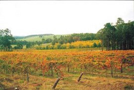  Accommodation Australia