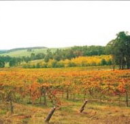 Byramgou Park - Accommodation Australia