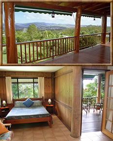 Atherton Blue Gum - Accommodation Australia 0