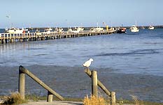 Seaview Motel And Holiday Units - Accommodation Australia 0