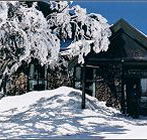 Arlberg Hotel Mt Buller - Accommodation Australia