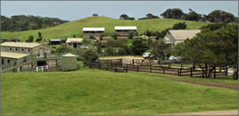 Cape Schanck VIC Accommodation Australia