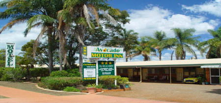 Avocado Motor Inn - Local Tourism 0
