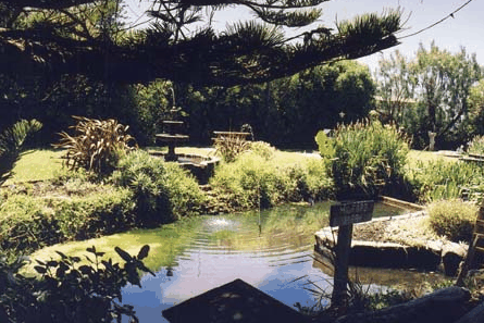 Bayside Gardens - Accommodation Australia