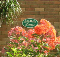 Lillypilly - Local Tourism