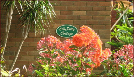 Lillypilly - Accommodation Australia 0