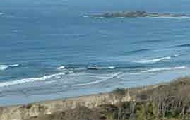 Beach Haven Apartments - Accommodation Australia 0