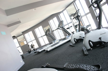 Seasons Darling Harbour - Accommodation Australia 5