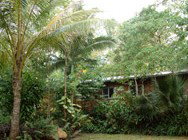 Kuranda Rainforest Accommodation Park - Accommodation Australia 3