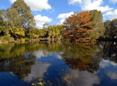 BIG4 Maroochy Palms Holiday Village - Australia Shopping 2