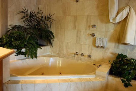 The Esplanade Motor Inn - Accommodation Australia 1