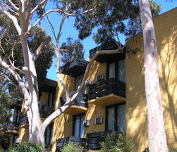 Pathfinder Motel - Local Tourism 1