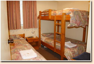 Snow View Holiday Units - Accommodation Australia 2