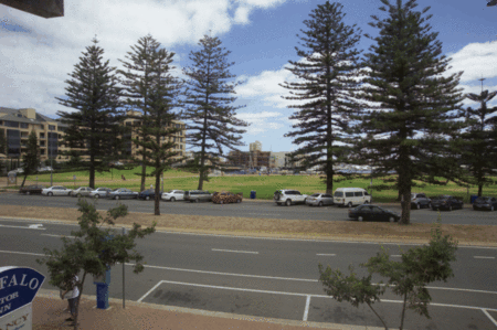 Buffalo Motor Inn - Accommodation Australia 3