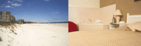 Buffalo Motor Inn - Accommodation Australia 4