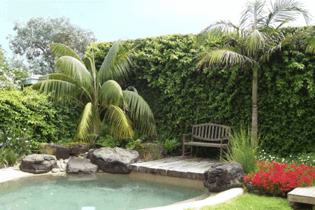 The Tropicana Motor Inn - Accommodation Australia 2