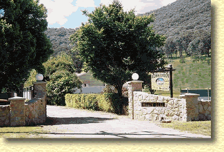 Willow Dene - Accommodation Australia 1