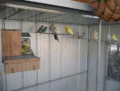 Yarragon Motel - Accommodation Australia 1
