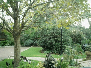 The Noble Grape - Accommodation Australia 1