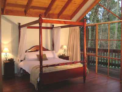 Belle Le Vie (Luxury B&B) - Accommodation Australia 2