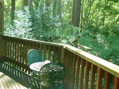 Belle Le Vie (Luxury B&B) - Accommodation Australia 4