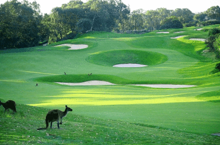 Joondalup Resort - Accommodation Australia 1