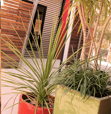 Adelphi Apartments - Local Tourism 1