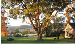 Belltrees Country House - Accommodation Australia 2