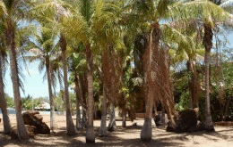 King Sound Resort Hotel - Local Tourism