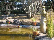 Murray Gardens Motel And Cottages - Accommodation Australia 2