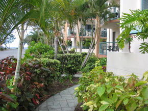 Pacific Place Apartments - Local Tourism 5