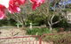 Dalebrook Guest House - thumb 0