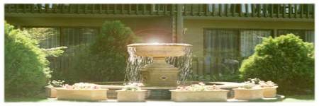 Best Western Tall Trees Motel - Accommodation Australia 2