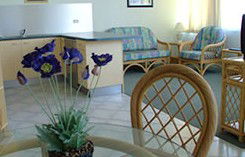 Mylos Holiday Apartments - Local Tourism 1