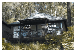 Treetops Resorts - Accommodation Australia 2