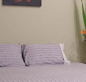 Stingo Hotel - Accommodation Australia
