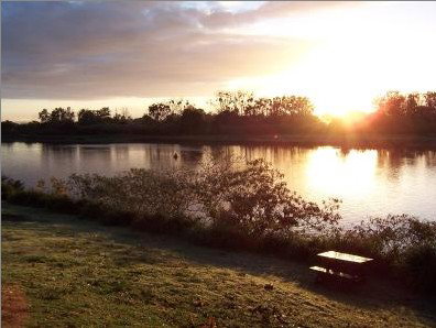 Colonial Court Motor Inn - Accommodation Australia 2