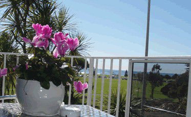 Beach Park Motor Inn - Accommodation Australia 3