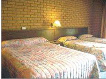 Bega Village Motor Inn - Local Tourism 3