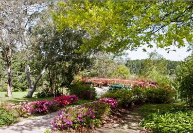 Bilpin Resort - Accommodation Australia 2